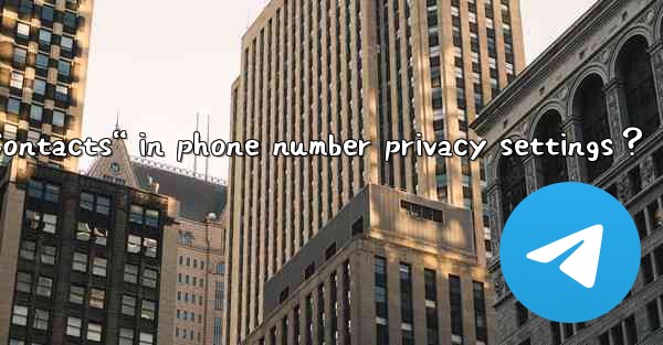 In Telegram, what is “Discover Contacts“ in phone number pri