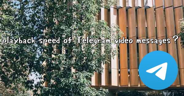 <b>How to adjust the playback speed of Telegram video messages？</b>