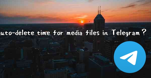 How to set the auto-delete time for media files in Telegram？