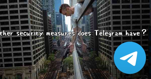 <b>Besides Two-Step Verification, what other security measures </b>