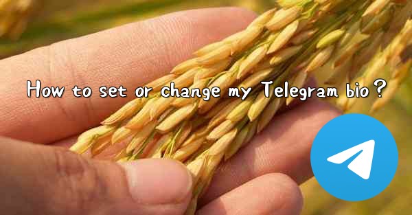 How to set or change my Telegram bio？