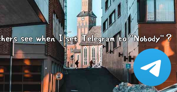 What do others see when I set Telegram to “Nobody“？