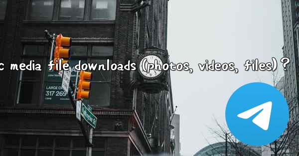 How to set conditions (mobile data, Wi-Fi) for Telegram auto